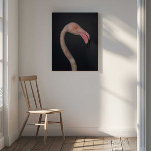 Tablou canvas „F L A M B O Y A N C E” de fegari