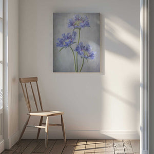 Tablou canvas „Scabiosa” de Mandy Disher