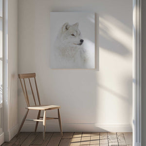 Tablou canvas „Portrait of an Arctic Wolf” de Jim Cumming