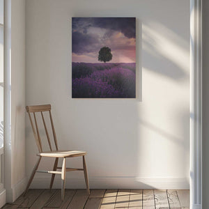 Tablou canvas „Lavender Fields, Isparta” de Cuma Cevik