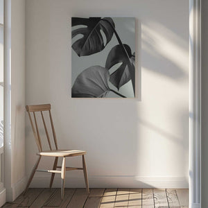 Tablou canvas „Monstera Teal 07” de Pictufy Studio III