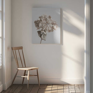 Tablou canvas „Beige dried flower” de Pictufy Studio III