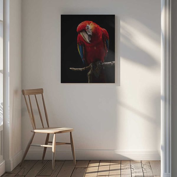 Tablou canvas „Portrait of Scarlet Macaw” de Andi Halil