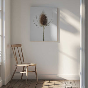 Tablou canvas „Dried_004” de Pictufy Studio III