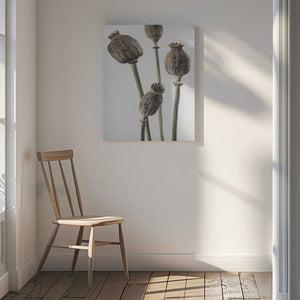 Tablou canvas „Dried_006” de Pictufy Studio III
