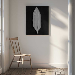 Tablou canvas „Feather_008” de Pictufy Studio III