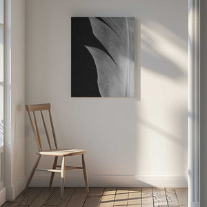 Tablou canvas „Feather_005” de Pictufy Studio III
