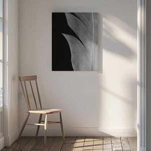 Tablou canvas „Feather_005” de Pictufy Studio III
