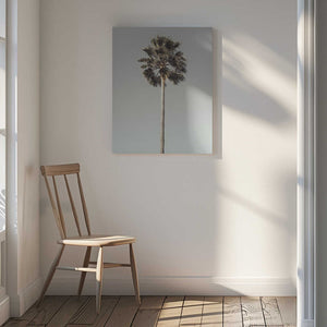 Tablou canvas „Palm_001” de Pictufy Studio III