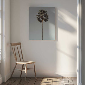 Tablou canvas „Palm_001” de Pictufy Studio III