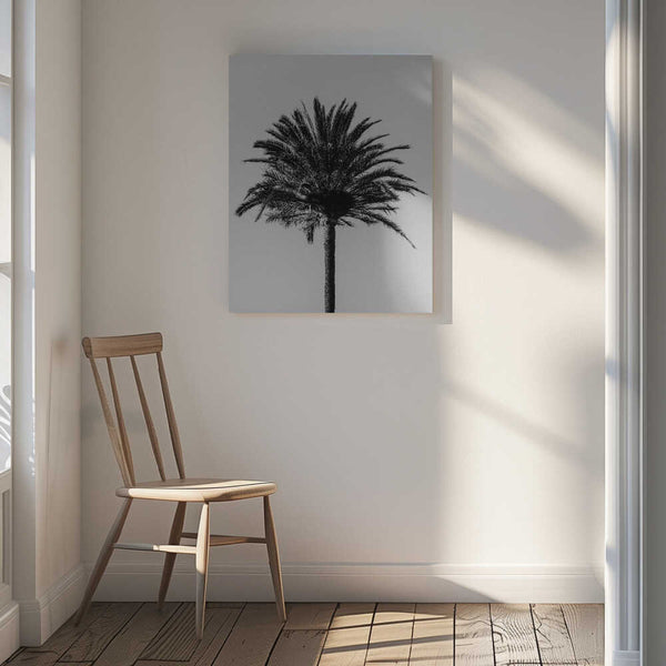 Tablou canvas „Palm_003” de Pictufy Studio III