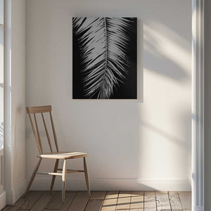 Tablou canvas „Palmblad_004” de Pictufy Studio III
