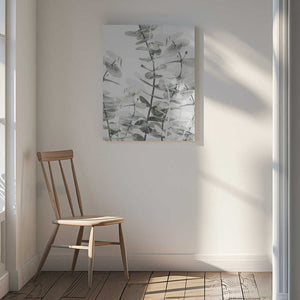 Tablou canvas „Eucalyptus_001” de Pictufy Studio III