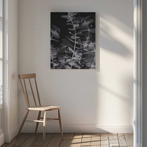 Tablou canvas „Eucalyptus_Negative_002” de Pictufy Studio III