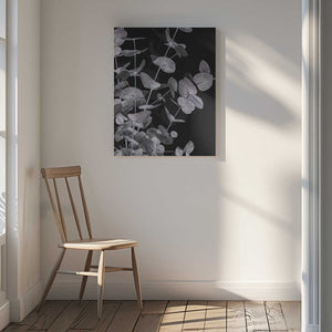 Tablou canvas „Eucalyptus_Negative_003” de Pictufy Studio III