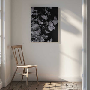 Tablou canvas „Eucalyptus_Negative_003” de Pictufy Studio III