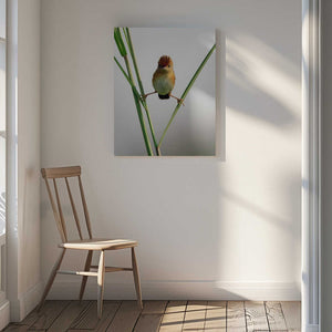 Tablou canvas „Kung Fu Master” de Lina Gunawan