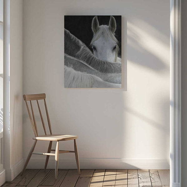 Tablou canvas „Look” de Milan Malovrh