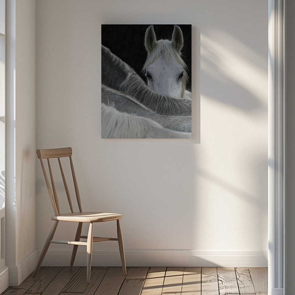 Tablou canvas „Look” de Milan Malovrh