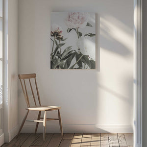 Tablou canvas „Peony 04” de Pictufy Studio III