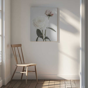 Tablou canvas „Peony 12” de Pictufy Studio III