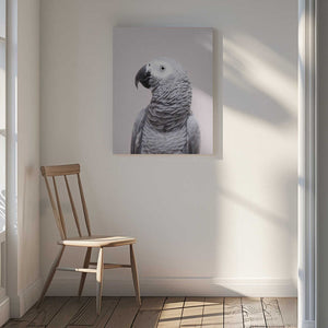 Tablou canvas „African Grey” de Kathrin Pienaar