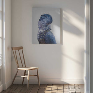 Tablou canvas „Black Cockatoo” de Kathrin Pienaar