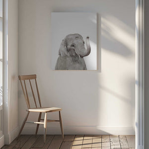Tablou canvas „Baby Elephant” de Kathrin Pienaar