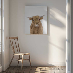 Tablou canvas „Baby Cow” de Kathrin Pienaar