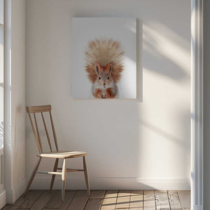 Tablou canvas „Baby Squirel” de Kathrin Pienaar