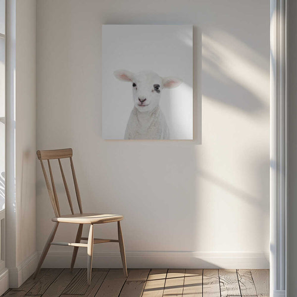 Tablou canvas „Baby Lamb” de Kathrin Pienaar