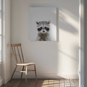 Tablou canvas „Baby Racoon” de Kathrin Pienaar