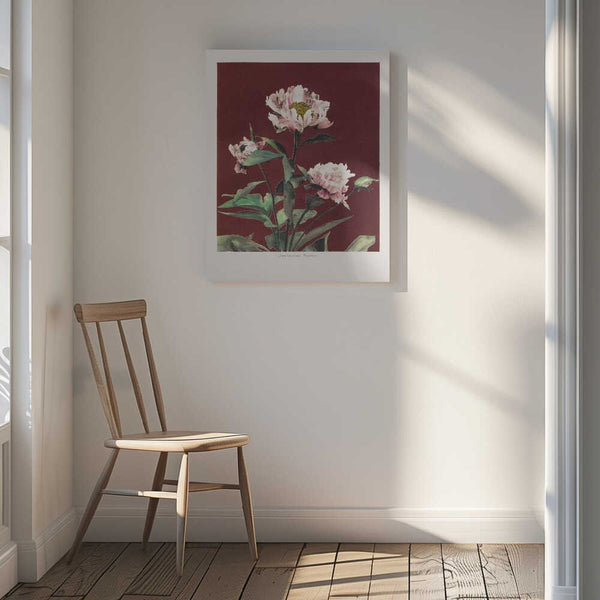 Tablou canvas „Hærdaceous Peony no2” de Ogawa Kazumasa