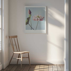 Tablou canvas „ Lotus Flowers” de Ogawa Kazumasa
