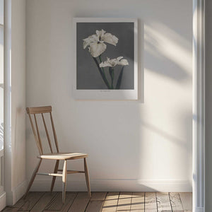Tablou canvas „Iris Kæmpferi” de Ogawa Kazumasa