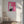 Tablou canvas „It's All Love Hand Pink” de Frances Collett