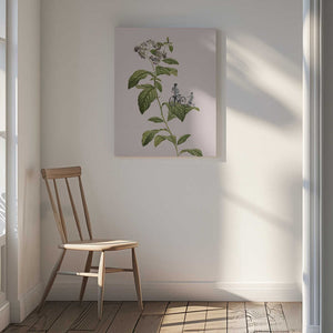 Tablou canvas „Botanical cycling” de Frida Floral Studio
