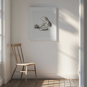 Tablou canvas „Vintage Agaricus Augustus Mushroom 50x70” de Biodiversity Heritage Library