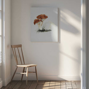 Tablou canvas „Hand Drawn Rufous Milkcap Mushroom” de Biodiversity Heritage Library