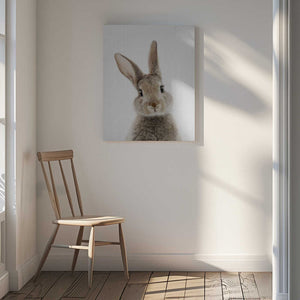 Tablou canvas „Peekaboo Bunny” de Lola Peacock