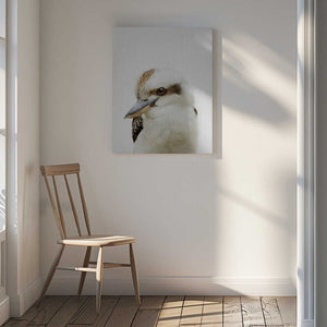 Tablou canvas „Peekaboo Kookaburra” de Lola Peacock
