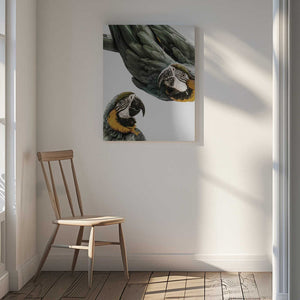 Tablou canvas „Vibrant Parrot Duo” de Shot by Clint