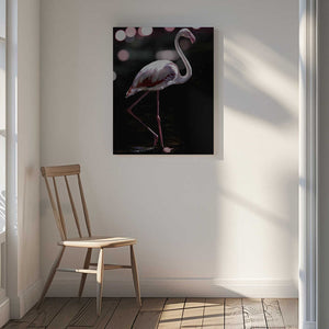Tablou canvas „Elegant Flamingo” de Shot by Clint