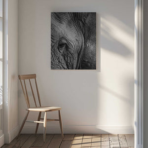 Tablou canvas „Wisdom's Wrinkles” de Shot by Clint