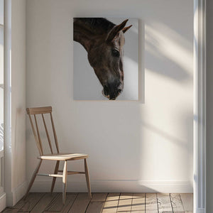 Tablou canvas „Majestic Equine Gaze” de Shot by Clint
