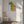 Tablou canvas „Vibrant Parrot Profile” de Shot by Clint