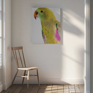 Tablou canvas „Vibrant Parrot Profile” de Shot by Clint