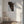 Tablou canvas „Portrait of a Horse Head” de Shot by Clint