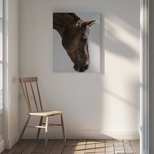 Tablou canvas „Portrait of a Horse Head” de Shot by Clint