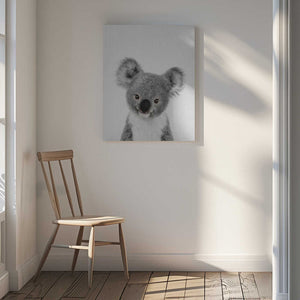 Tablou canvas „Peekaboo Baby Koala” de Lola Peacock